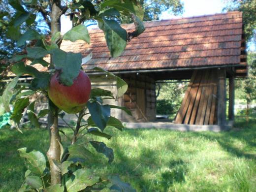 Dvě stě let stará sušírna ovoce v ukázkovém sadu v Hostětíně každý podzim krásně voní.