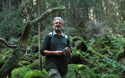 Antonín Buček v nejpřísněji chráněné přírodní rezervaci na Slovensku – v dolině Nefcerka pod vrcholem Kriváně ve Vysokých Tatrách v roce 2005. 