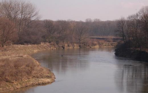 Na jižní Moravě zbývá poslední volně meandrující úsek velké řeky – Morava mezi Bzencem a Rohatcem. 