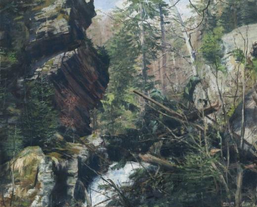 Rešovské vodopády, olej na plátně, 40 x 50 cm, 2018.  