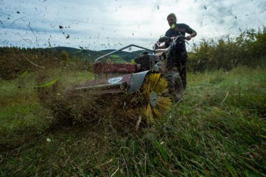 O zachování fialově kvetoucí, kriticky ohrožené květiny, hořečku mnohotvarého českého, musí ochránci přírody bojovat. A zdá se, že se jim to daří. Na jedenáct lokalit především na Šumavě dřív jezdili vybaveni sekačkami a hráběmi, teď ale přišli s inovací, která zaujala i odborníky ze severských zemí. S údržbou jim pomáhá motorový kartáč.  