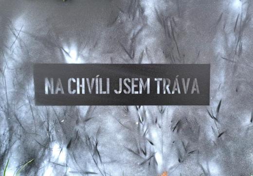 Anna Háblová, Na chvíli jsem tráva
